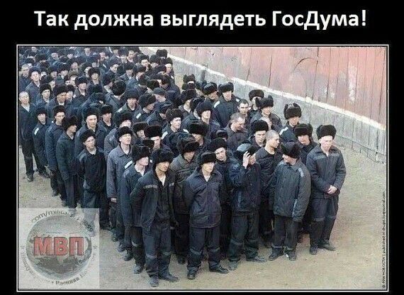 Так должна выглядеть Госдума