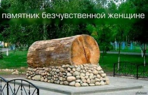 гі ПВМЯТНИК бЕЭЧУВСТВеННОЙ ЖЕНЩИНЕ