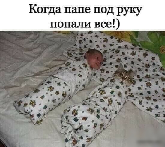 Когда папе под руку попали все