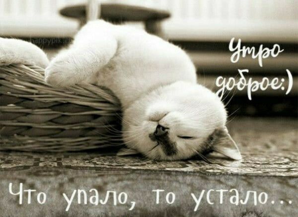 Что улало, то уст; ы
