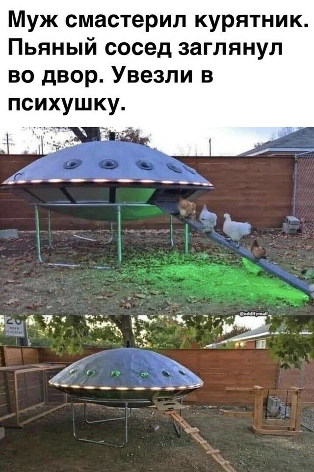 Муж смастерил курятник Пьяный сосед заглянул во двор Увезли в ПСИХУШКУ 10____ Ъ Е 7 _ 3 Ип21 а С