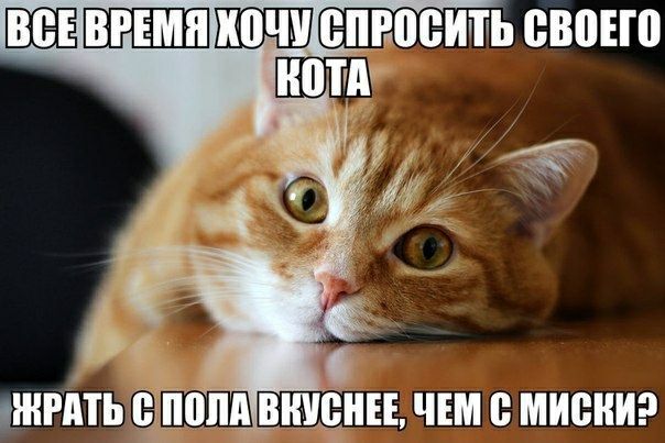 НЕЁП ЮЦЩЁЪВПРПЁШЬ ВВПЕШ ЖИТЬ ЧШМА ВШБНЕЕ ЧШ МИСИ