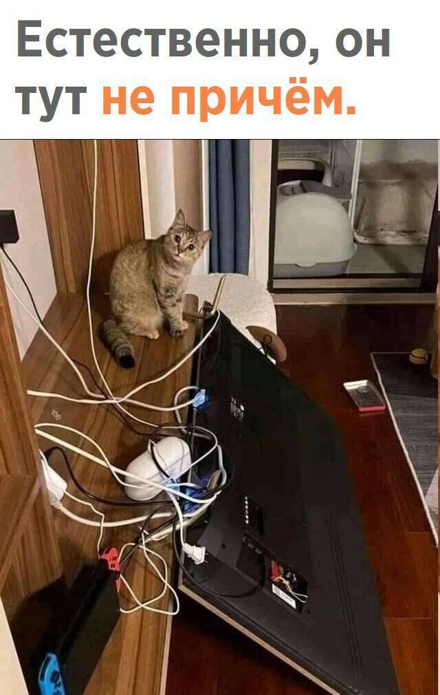 Естественно он тут не причём А 1 _ 7