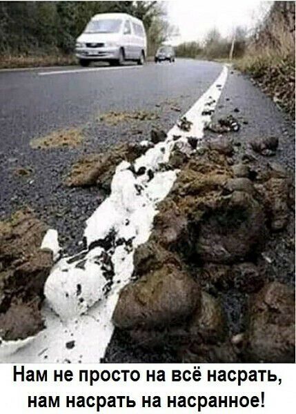 Нам не і1росто на всё насрать нам насрать на насранное
