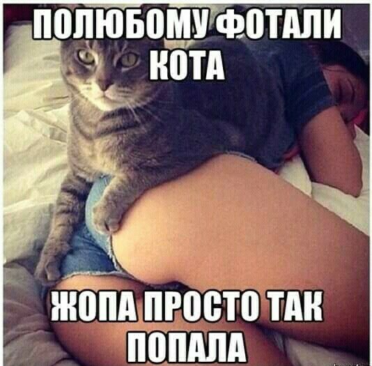 ПВЛЮБПМУФ0ТПЛИ