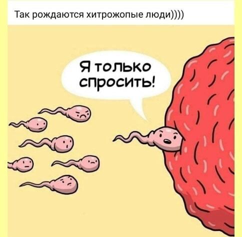 Так рождаются хитрожопые пюди Я толыш спросить Ю
