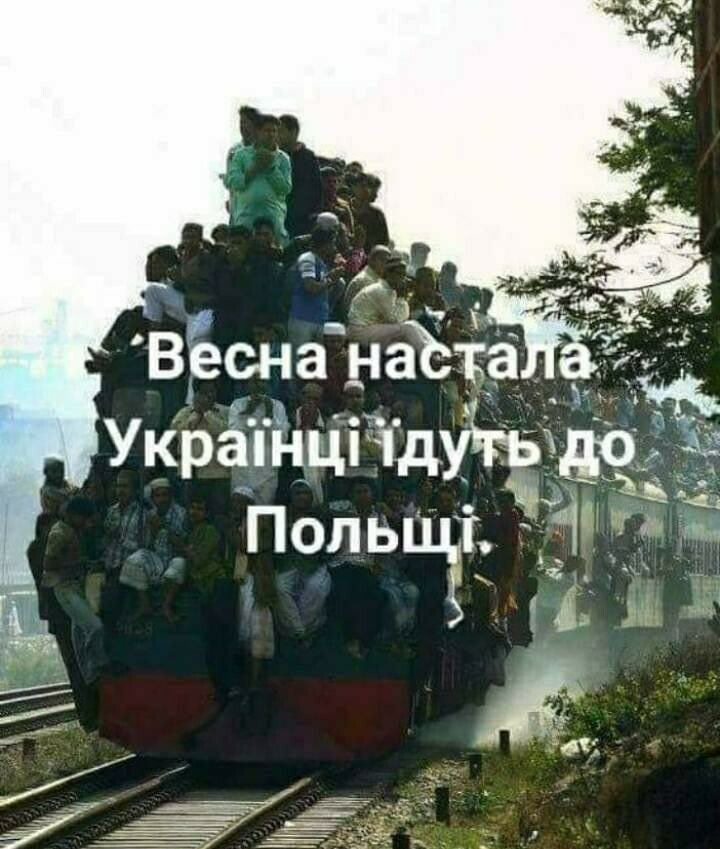 Украінцп ідугыдочё ЧН Польщт 1 Ёчш