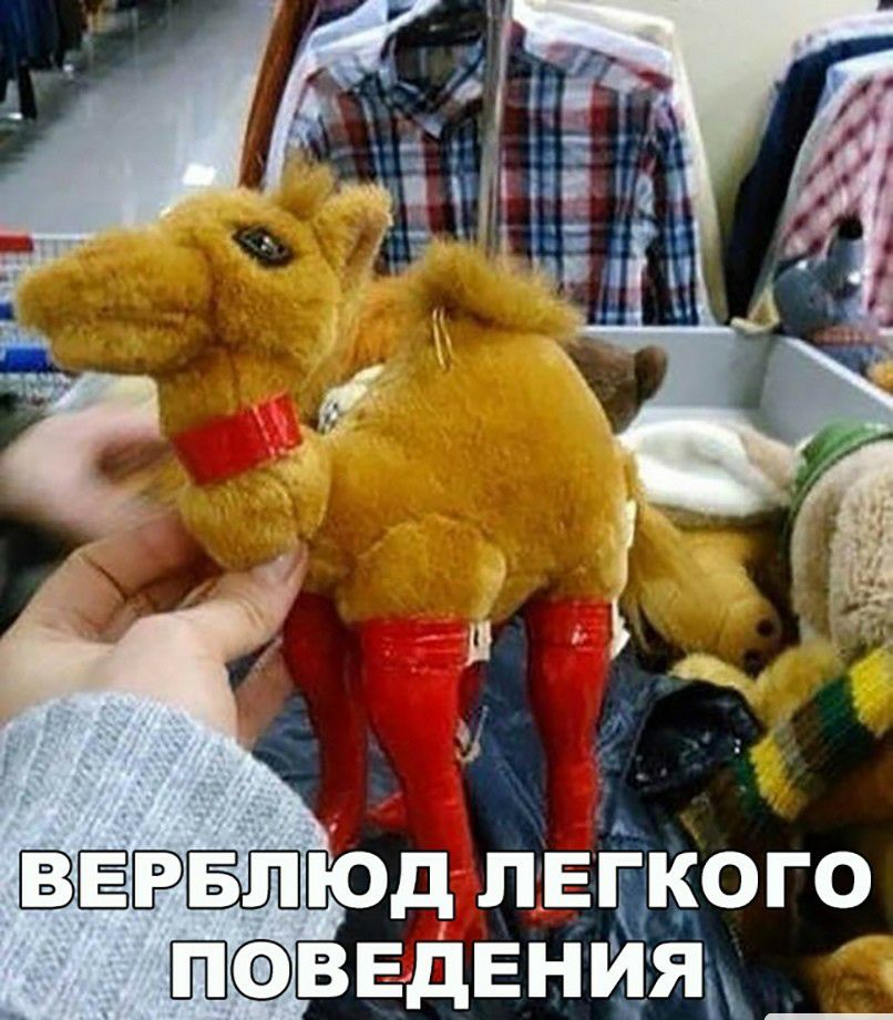 _ ЁЁЁЩЮД лёгкого ввдвния