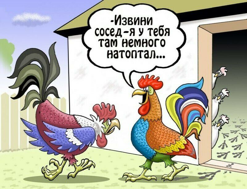 Извини сосед я у тебя там немного натоптал