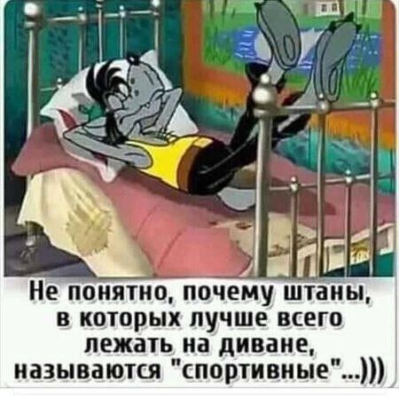 в которых лучше всего лежать на диване называются спортивныеі