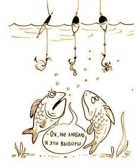 .  : '  х, не люблю' я эти выборы,  .