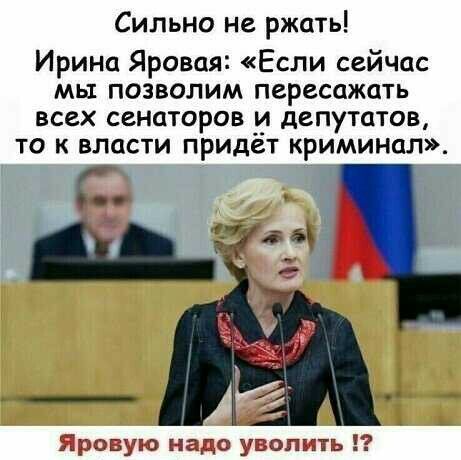 Сильно не ржать Ирина Яровая Если сейчас мы позволим пересажать всех сенаторов и депутатов то к власти придёт криминал