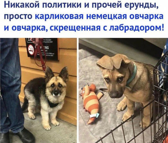 Никакой политики и прочей ерунды просто