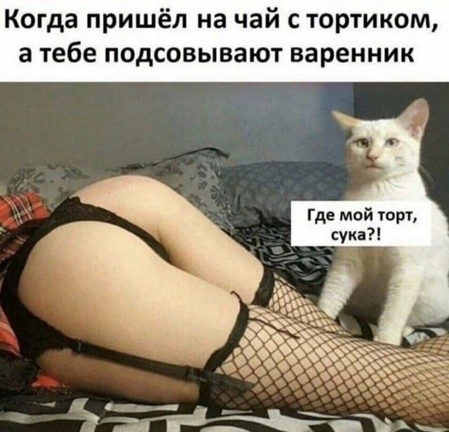 Когда пришёл на чай с тортиком а тебе подсовывают варенник