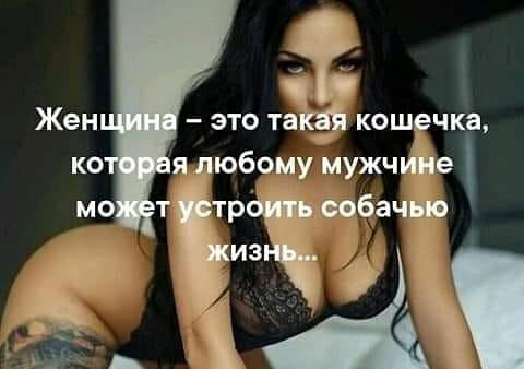 ЖЕН ЭТО та КОШ ЧКЗ К о я юбому мужч е мо т тр Бач _