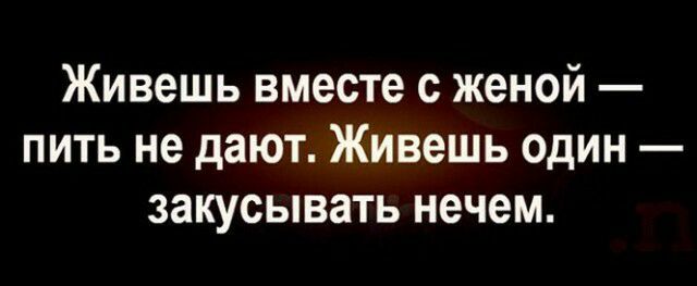 Живешь вместе с женой пить не дают Живешь один закусывать нечем