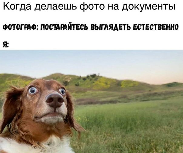 Когда делаешь фото на документы ФОТОГМФ ПОШРАЙТЕСЬ ВЫГАЯАЕТЬ ЕСТЕСТВЕННО