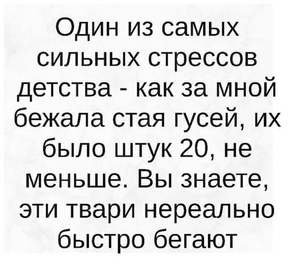 Один из самых сильных стрессов детства как за мной бежала стая гусей их было штук 20 не меньше Вы знаете эти твари нереально быстро бегают