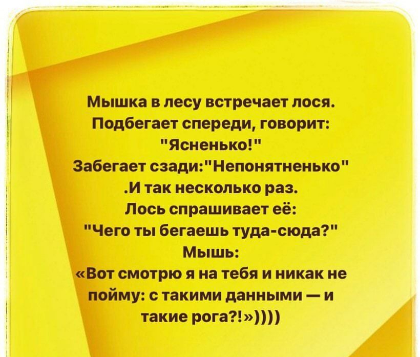 Мышка в лесу встречает лося Подбегает спереди говорит Ясненько Забегает сзадиНепонятноньюо и так несколько раз Лось спрашивает её Чего ты бегаешь туда сюда Мышь Вот смотрю я из тебя и никак На пойму с такими данньми и такие рогат