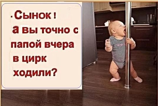 Сыном а вы точно с папой вчера в цирк ходили