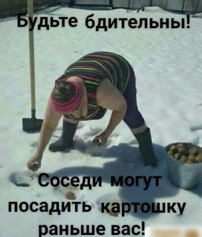 дьте бдительны посадить ФФ раньше вас