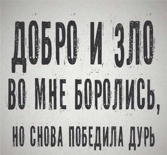 Довро и 3 й ме бврливь но сновь победила дур