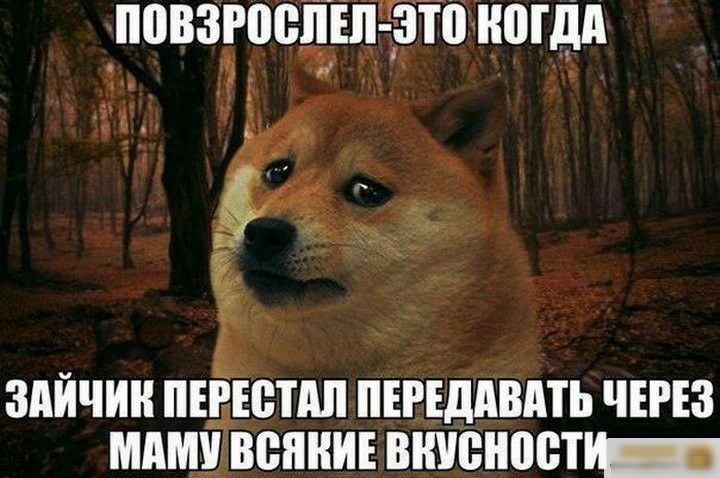 ППВЗРВЦЕПЁЁЙП НВГДП _ г_ ЗАЙЧИК ПЕРЕВПШ ПЕРЕДАВАТЬ ЧЕРЕЗ МАМ ВВПНИЕ ВЩЮНПШЪ