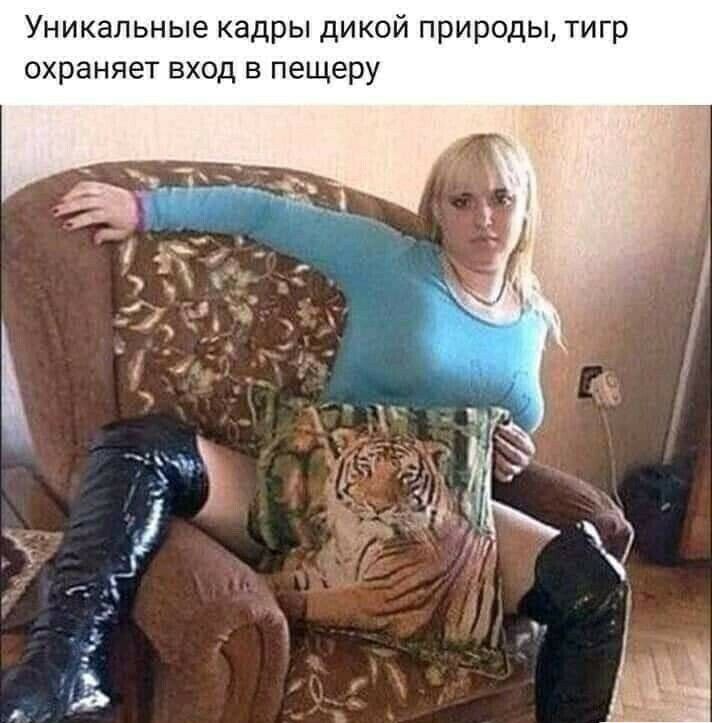 Уникальные кадры дикой природы тигр охраняет вход в пещеру