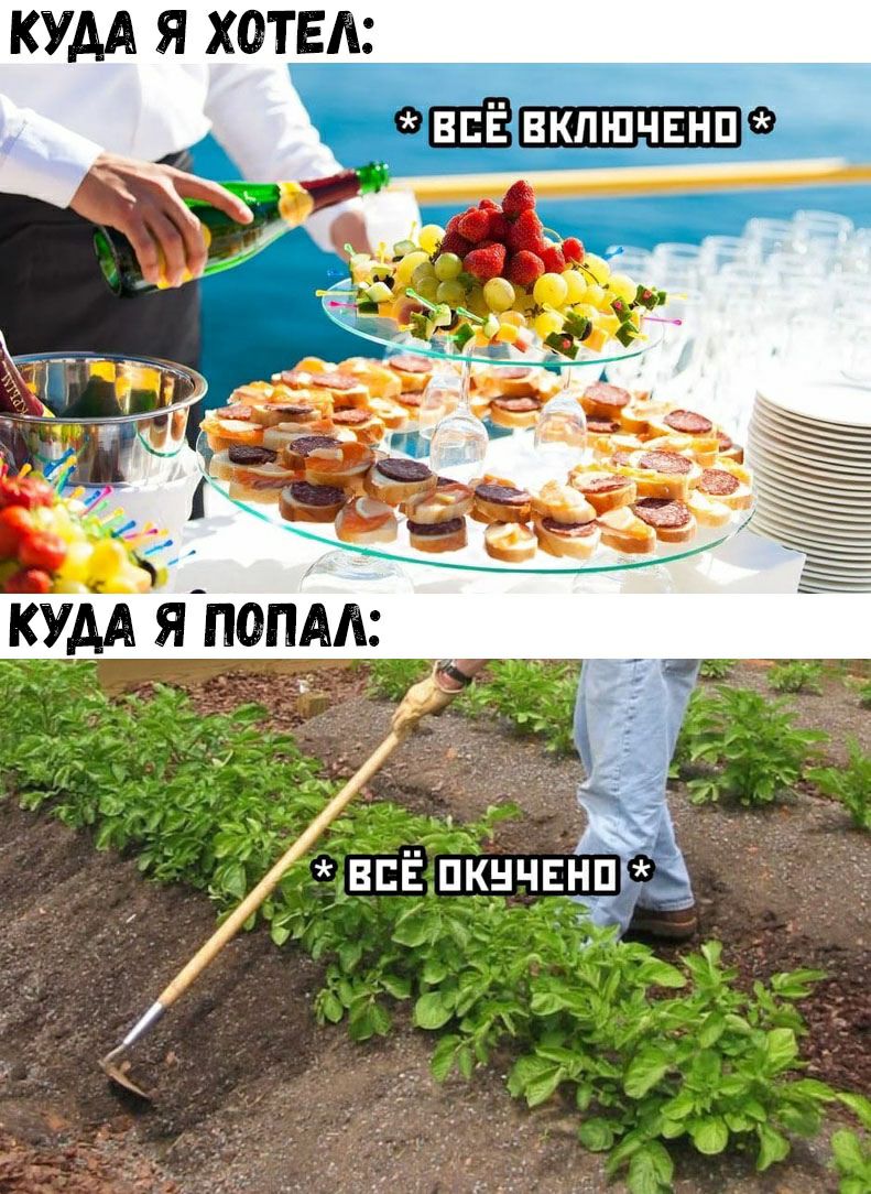 КУДА Я ХОТЕЛ ФЕЁЗФ КУДА япопм всЁ пкнчвнп _ _