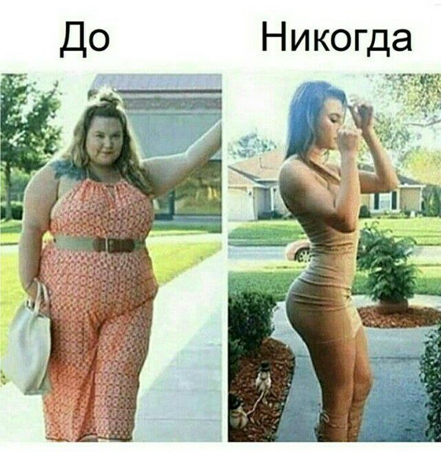 Никогда