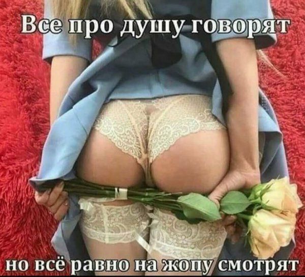к Вс епро душу готаря _ Ь