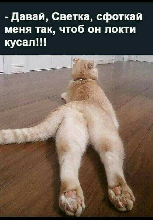 давай Светка сфоткай меня так чтоб он локти кусали