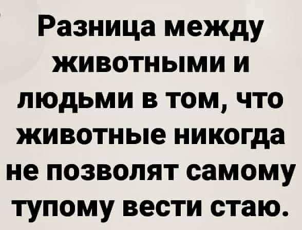 Разница между животными и людьми в том что животные никогда не позволят самому тупому вести стаю