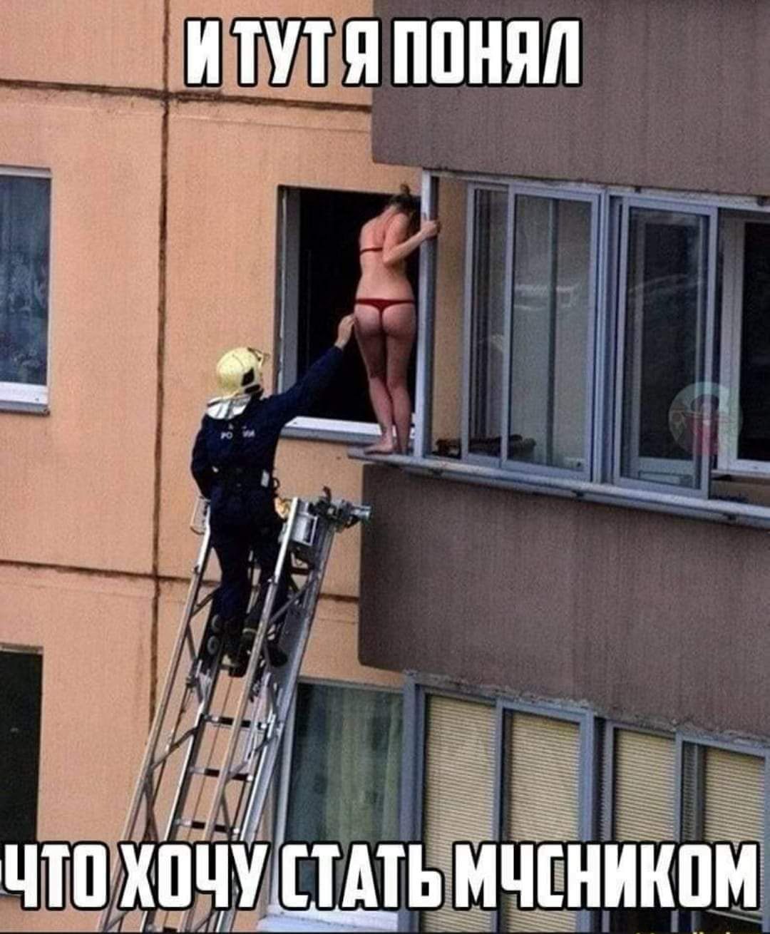 Волщщпиттулуя понял