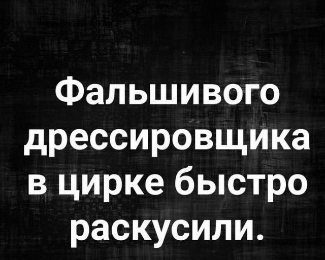 Фальшивого дрессировщика в цирке быстро раскусили