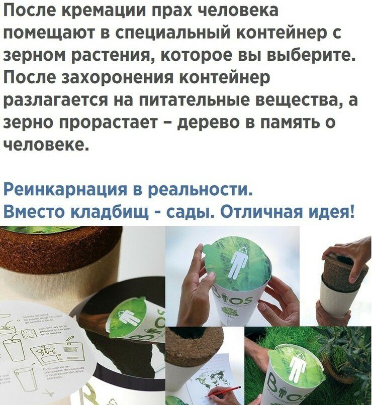 После кремации прах человека помещают в специальный контейнер с зерном растения которое вы выберите После захоронения контейнер разлагается на питательные вещества а зерно прорастает дерево в память о человеке Реинкарнация В реальности ВМЕСТО кладбищ сады ОТЛИЧНЗЯ идея