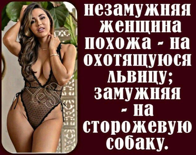 незамужняя женщина похожа на дохотящуюся АЬВНЦУ замужняя на собаку