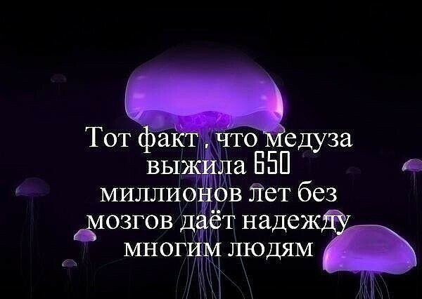 ЗОЗГОВ ДЁЁТ НЗДВЖ МНОГ М ЛЮДЯМ