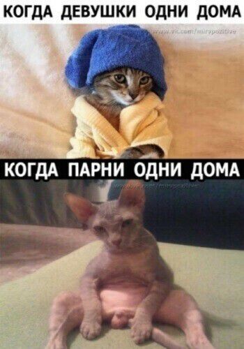 КОГДА ДЕВУШКИ ОДНИ дОМА КОГДА пдрнидріни домд