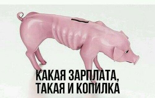 д ЁАКАЯ ЗАРПЁАТА ТАКАЯ и копипкА