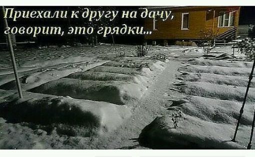 Приехали кдругу на дсчу, оварит это грядки