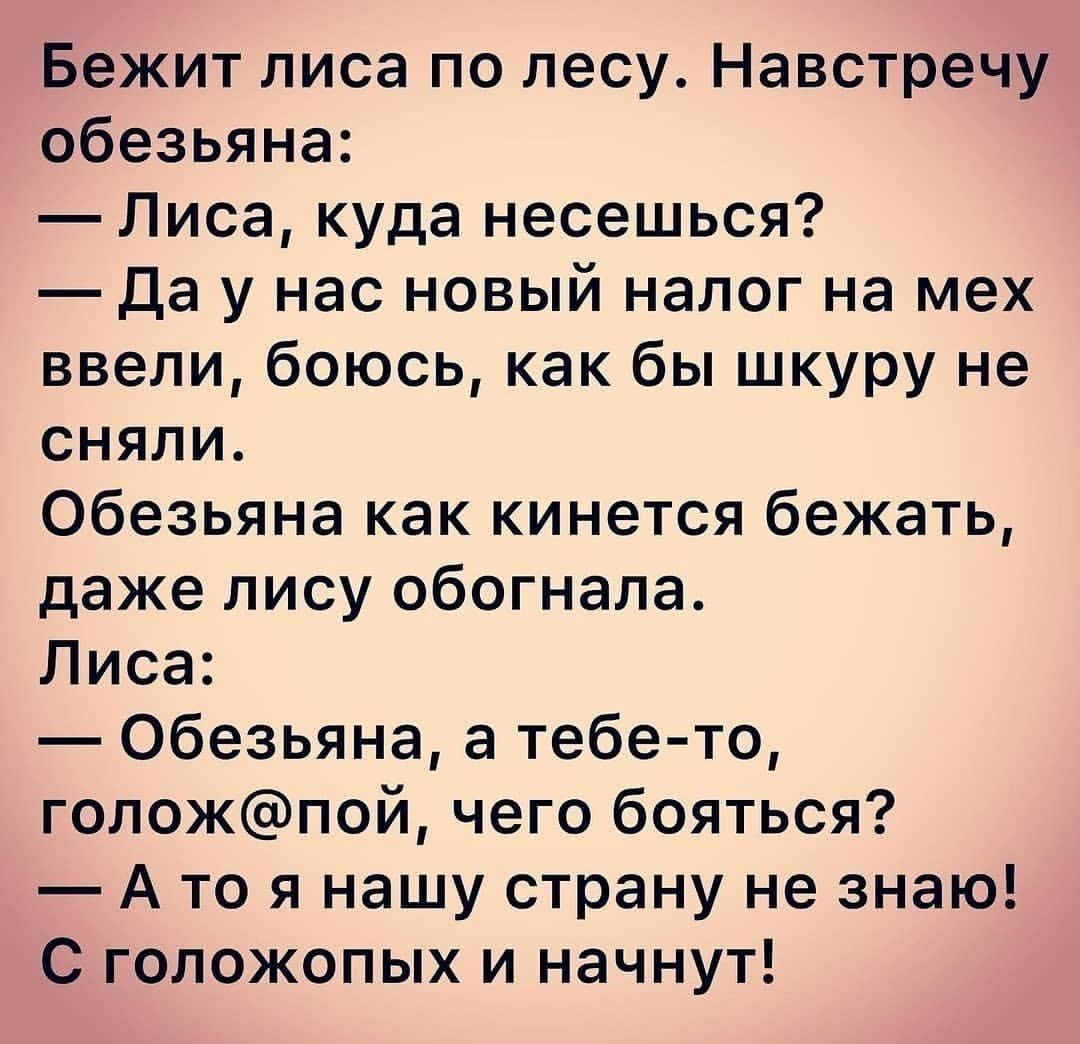 Бежит лиса по лесу Навстречу обезьяна Лиса куда несешься Да у нас новый налог на мех ввели боюсь как бы шкуру не сняли Обезьяна как кинется бежать даже лису обогнала Лиса Обезьяна а тебе то голожпой чего бояться А то я нашу страну не знаю С голожопых и начнут