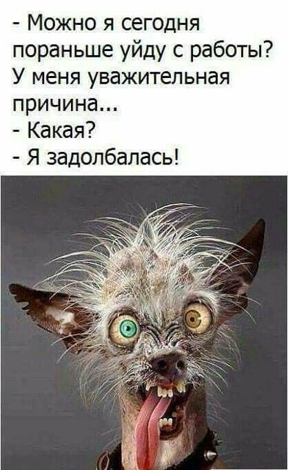 Можно я сегодня пораньше уйду с работы У меня уважительная причина Какая Я задолбалась