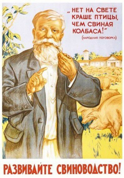 7 к нет НА свнте Ё КРАШЕ птицы чем свинш КОАБАСА