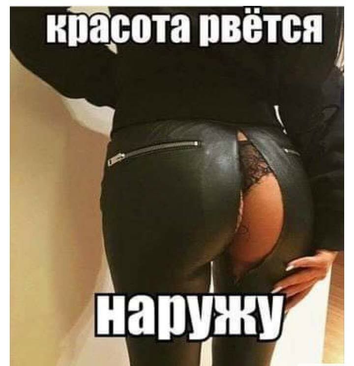 ипарота пвётся