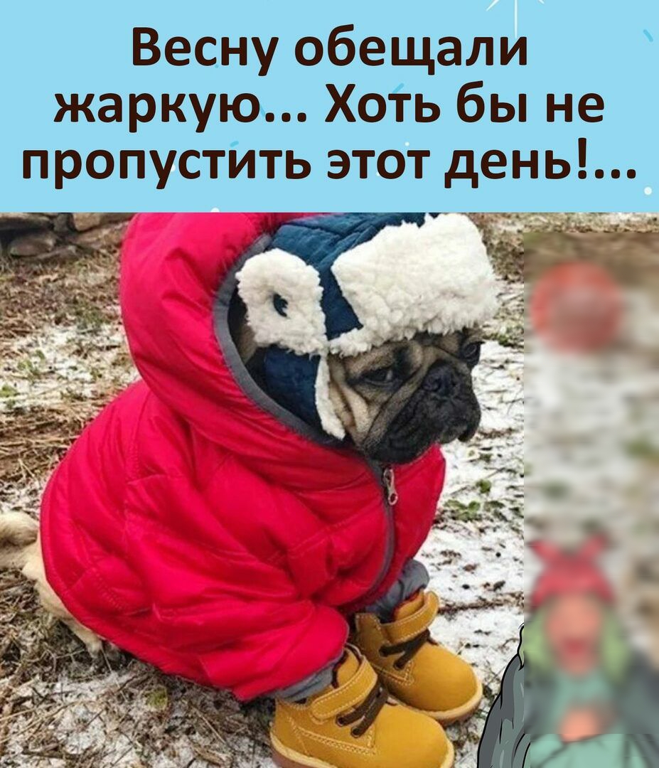 Весну обещали жаркую Хоіь бы не пропустИть этот день