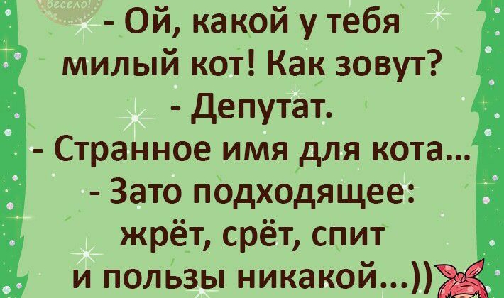 Ой какой у тебя милый кот Как зовут Депутат Странное имя для кота Зато подходящее жрёт срёт спит и пользы никакой