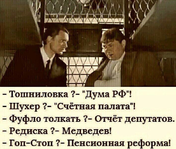 Тошниловка Дума РФ Шухер Счётная палата Фуфло толкать Отчёт депутатов Редиска Медведев ГопСтоп Пенсионная реформа