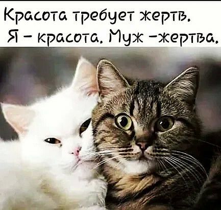 Красота требует жертв Я Кэасотаітуж жертіъа