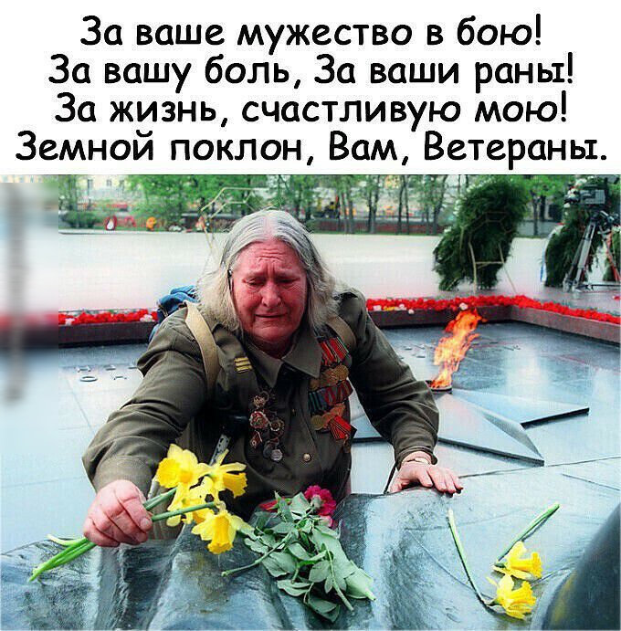 За ваше мужество в бою За вашу боль За ваши раны За жизнь счастливую мою Земной поклон Вам Ветераны